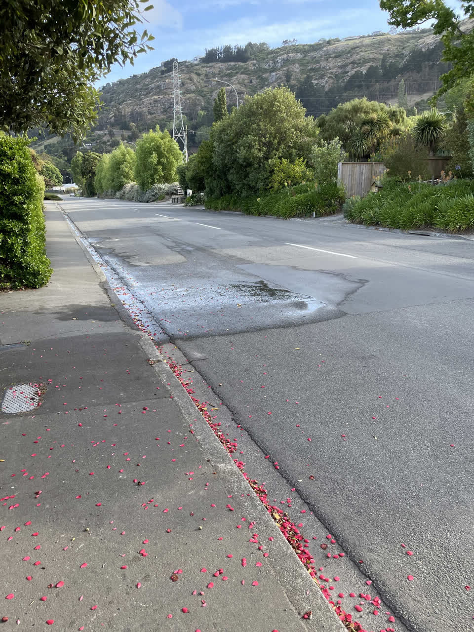 The photograph attached to this water leak report