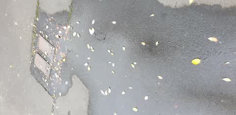 Water Leak, a report photo