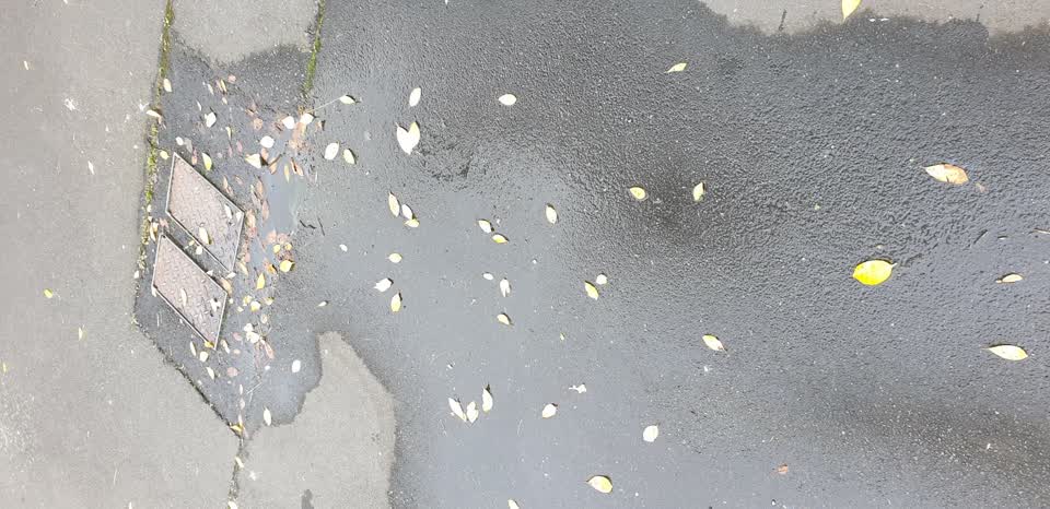 The photograph attached to this water leak report