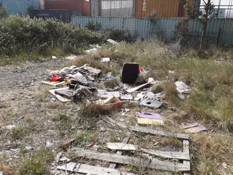 Parks, a report photo