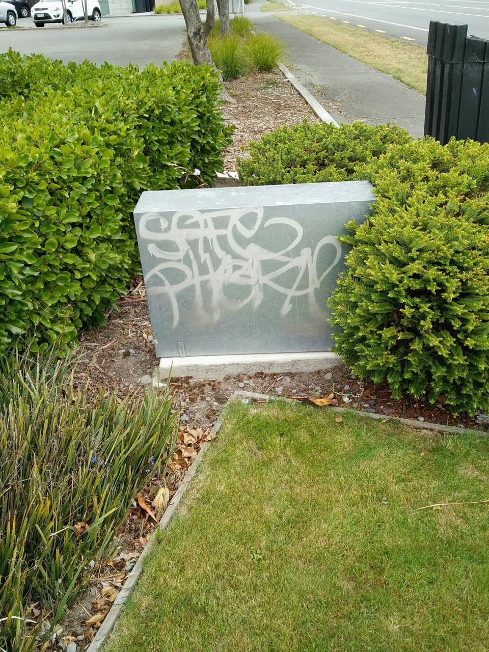 The photograph attached to this graffiti report