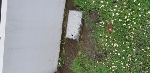 Water Leak, a report photo