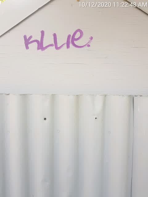 Graffiti, a report photo