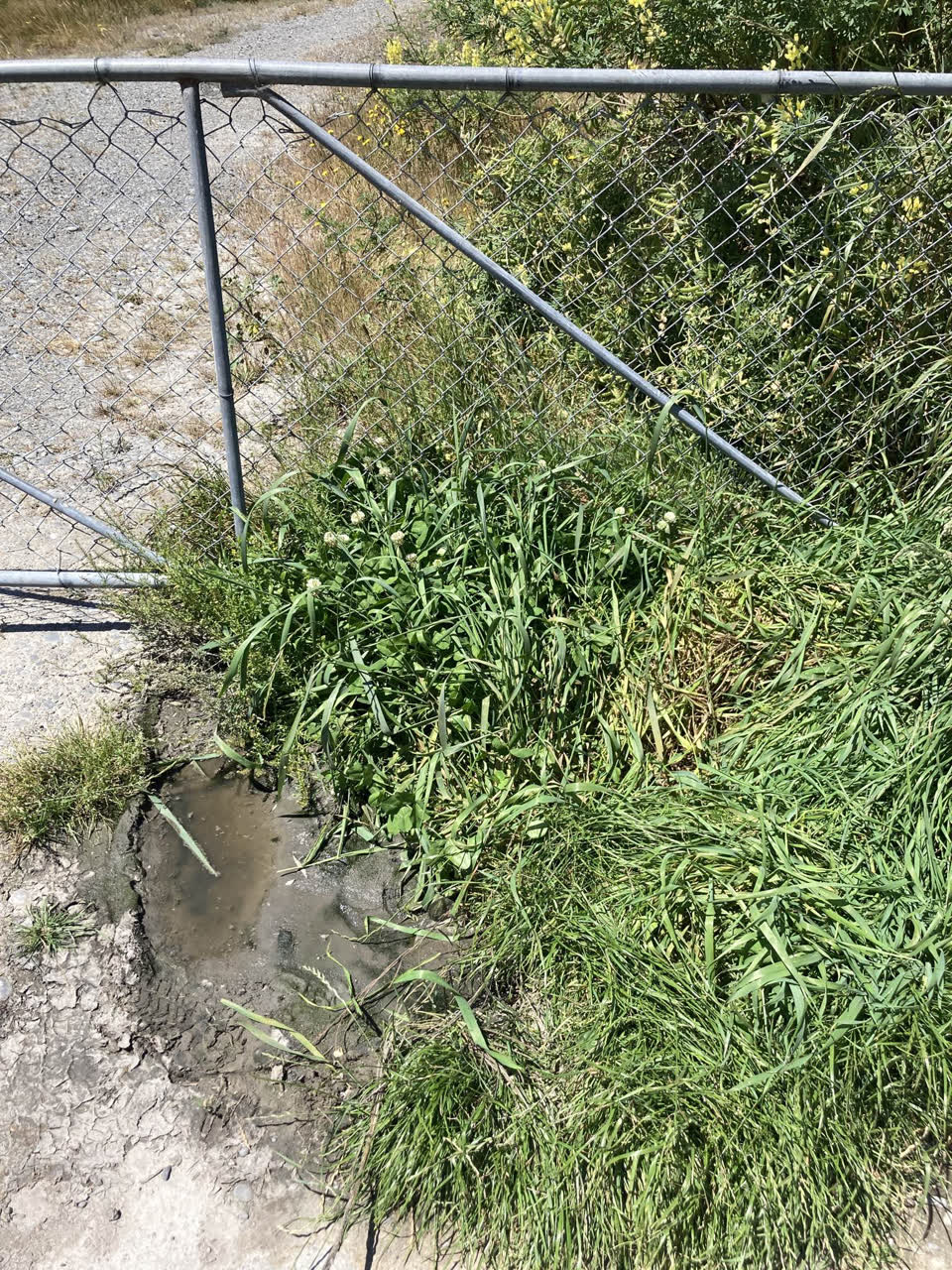 The photograph attached to this sewer - leak / blockage report