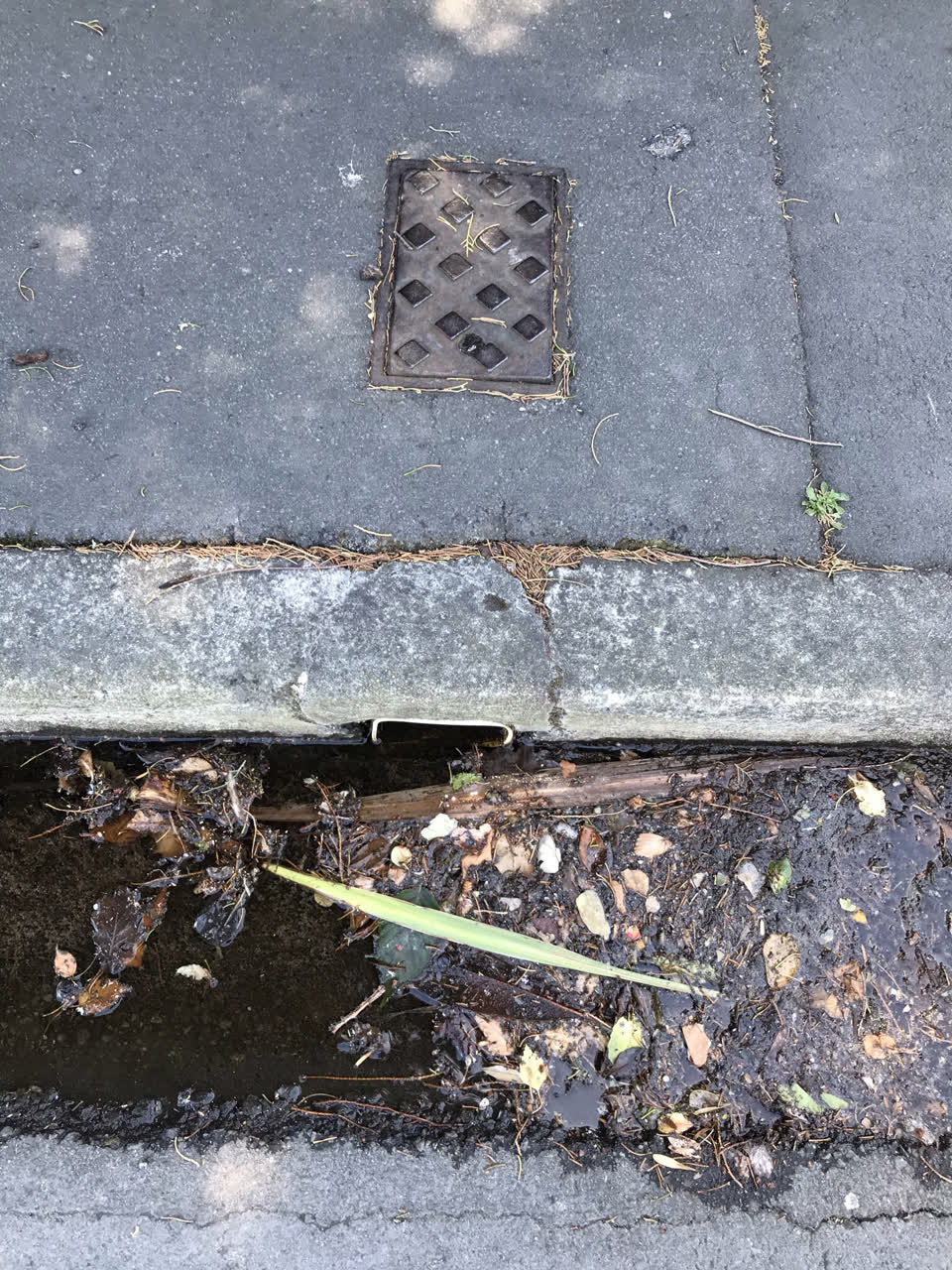 The photograph attached to this water leak report