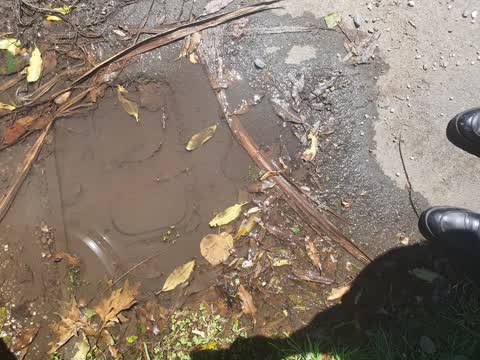 Water Leak, a report photo