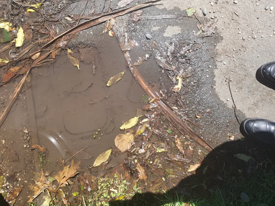 The photograph attached to this water leak report