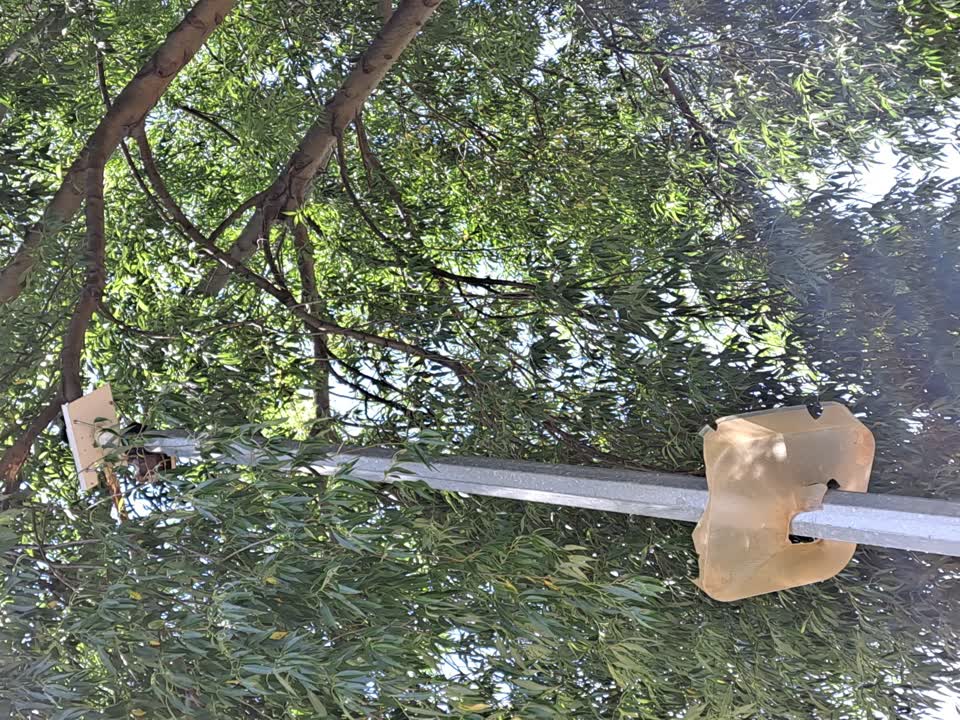 The photograph attached to this street light outage report