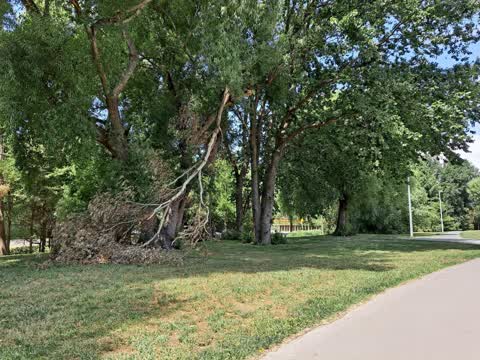 Parks — a report photo