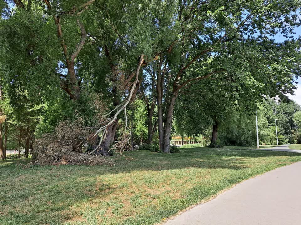 The photograph attached to this parks report