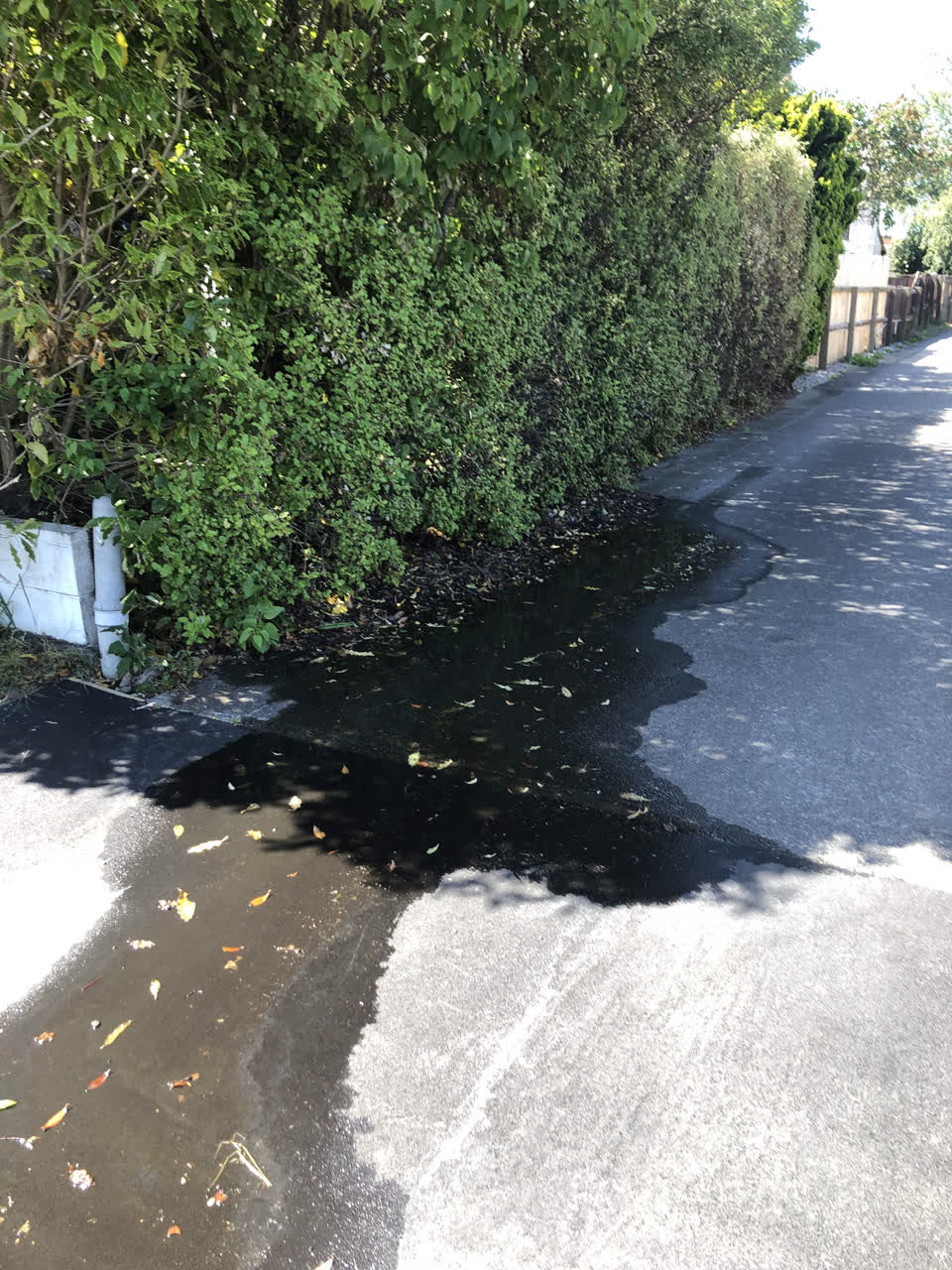 The photograph attached to this flooding report