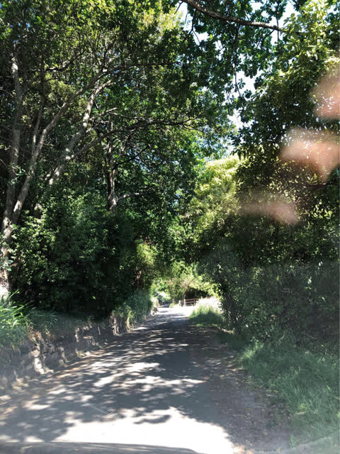 Parks, a report photo