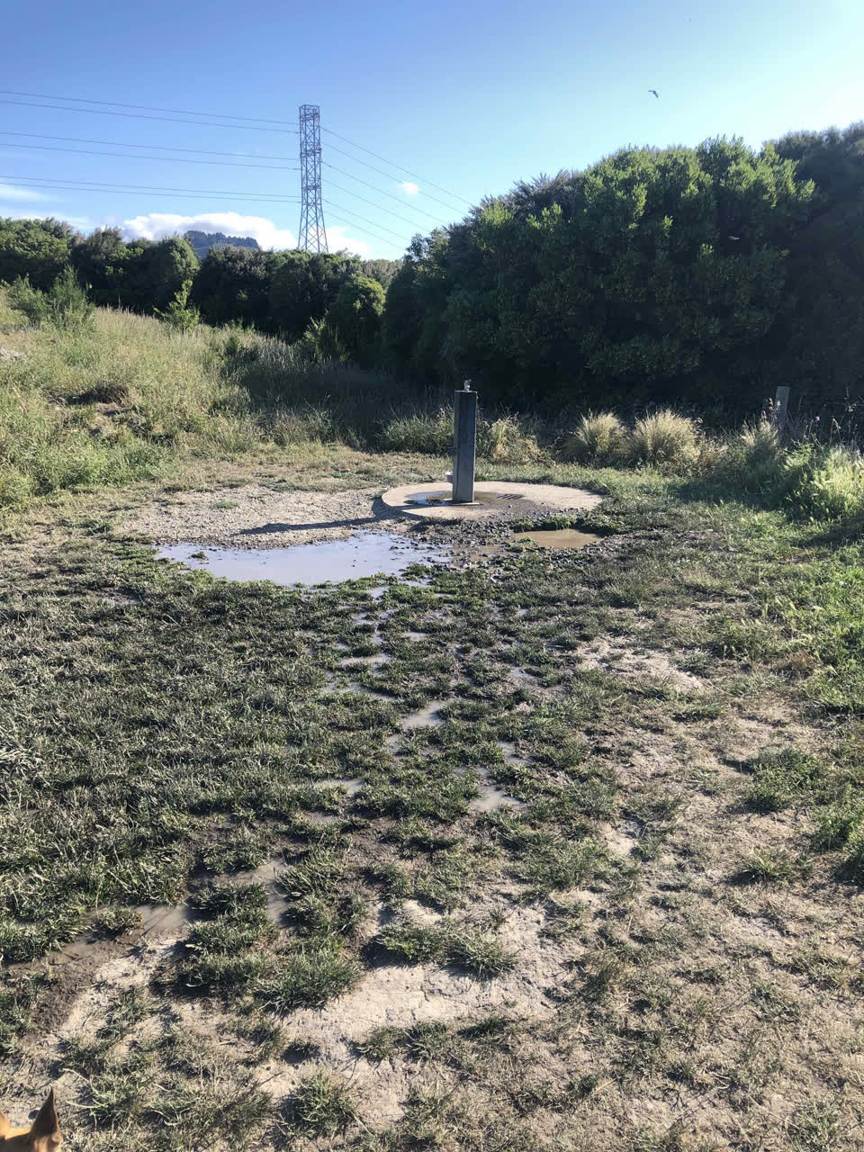The photograph attached to this water leak report