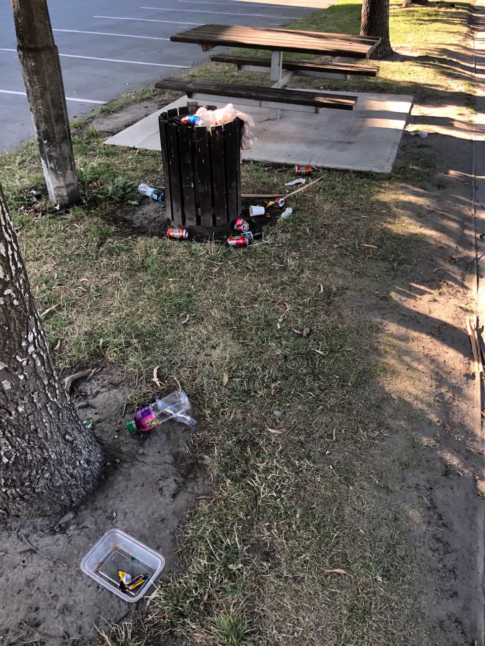 The photograph attached to this rubbish/recycling report
