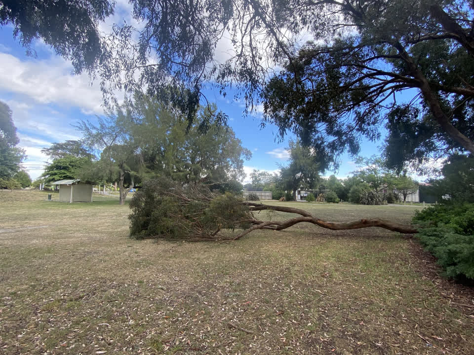 The photograph attached to this parks report