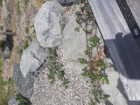 Parks, a report photo