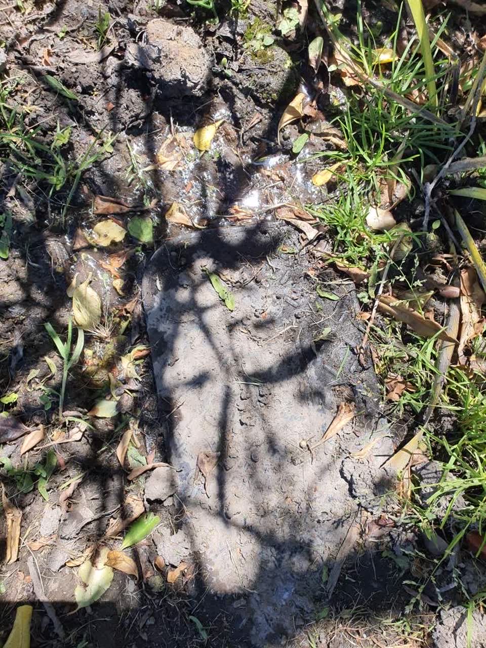 The photograph attached to this water leak report