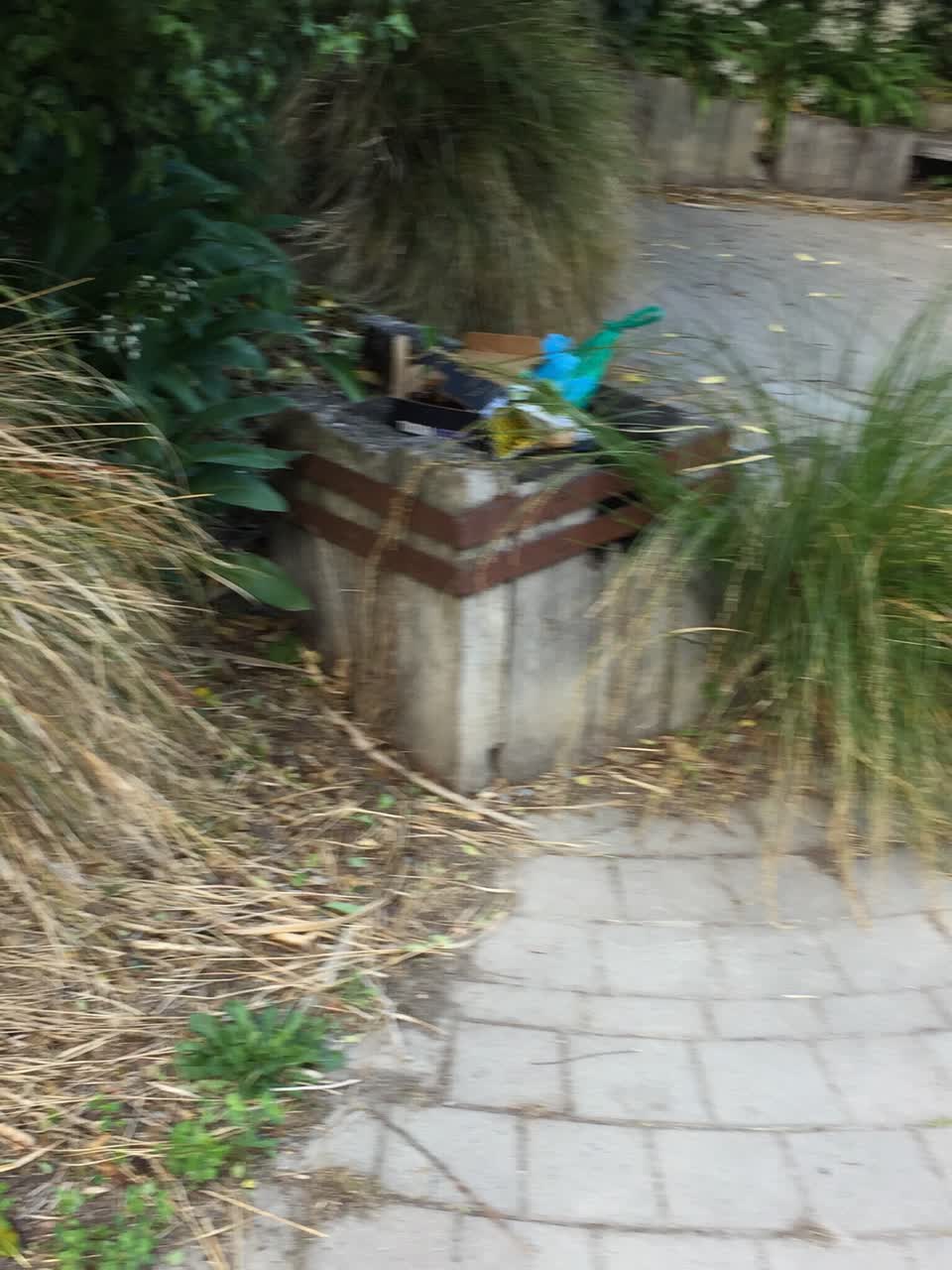 The photograph attached to this parks report