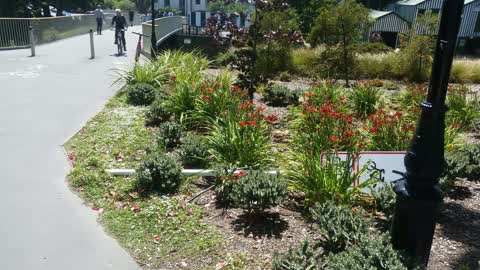 Roading/Streets, a report photo