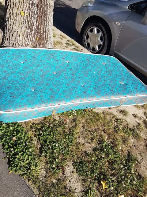 Rubbish/Recycling — a report photo