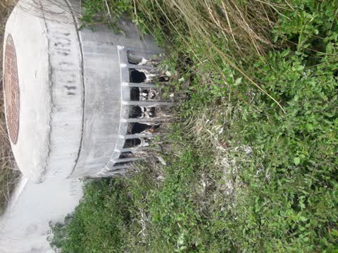 Sewer - General, a report photo