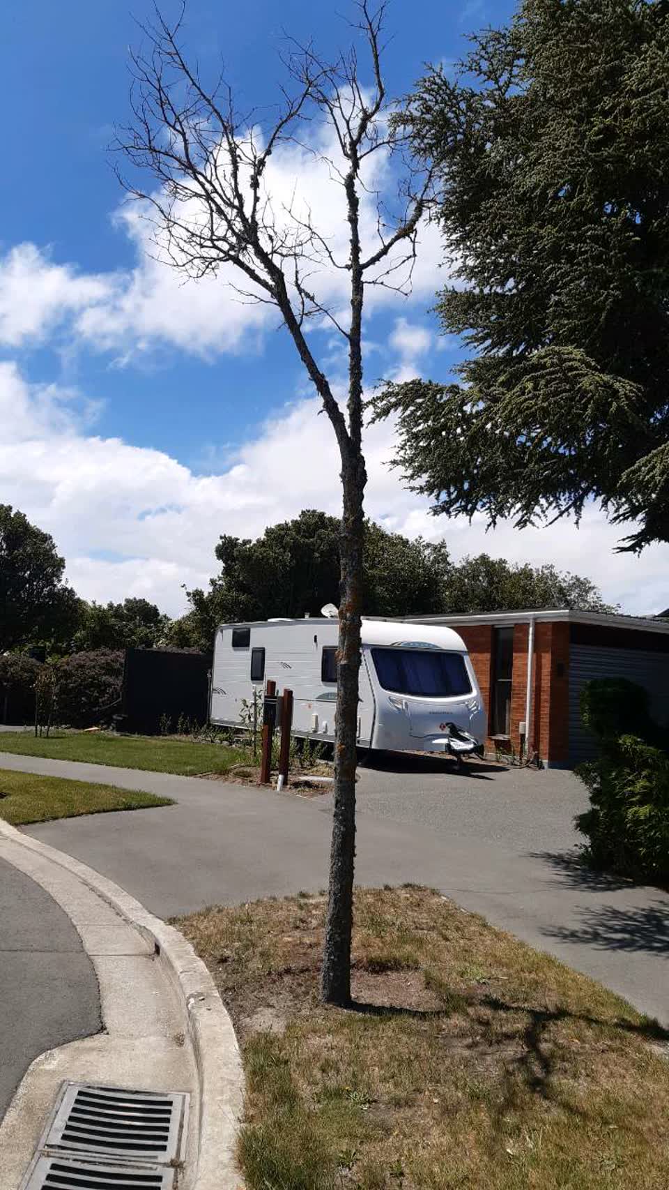The photograph attached to this parks report