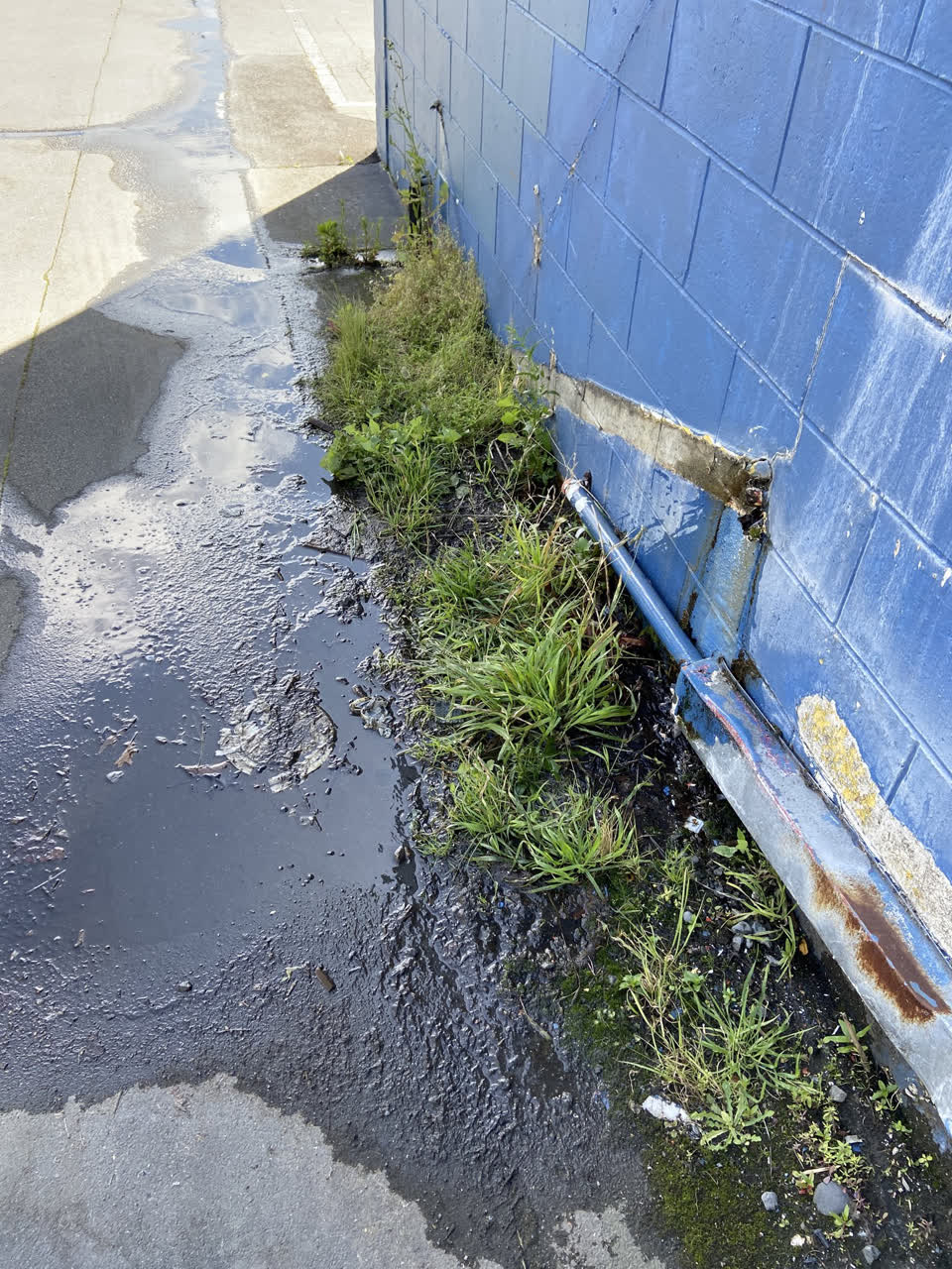 The photograph attached to this water leak report