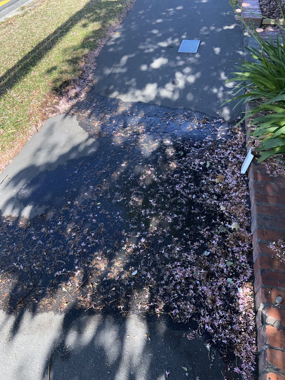 The photograph attached to this water leak report