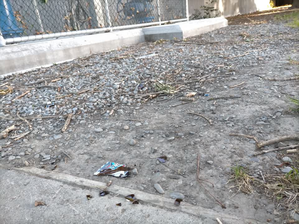 The photograph attached to this parks report