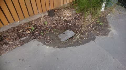 Water Supply, a report photo