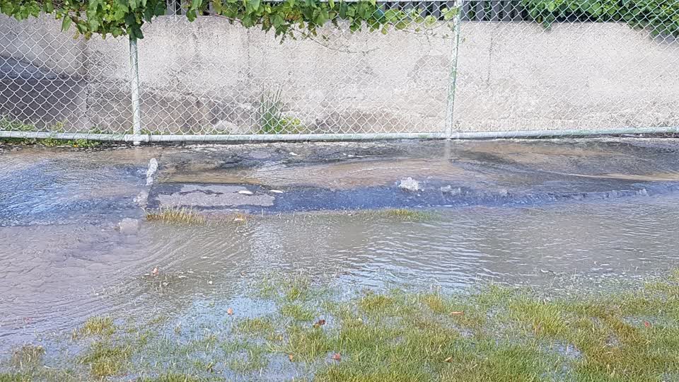 The photograph attached to this water leak report