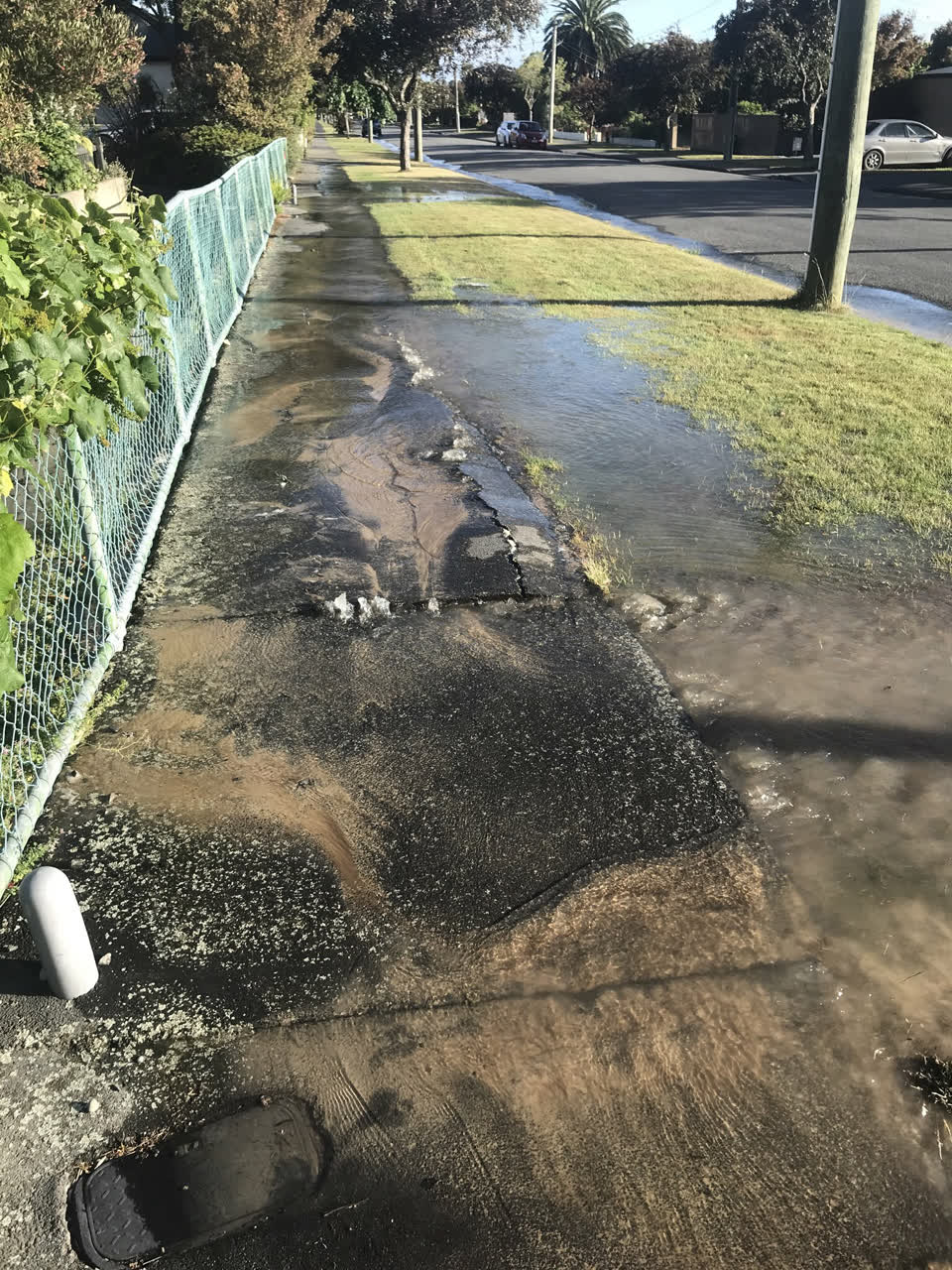 The photograph attached to this water leak report