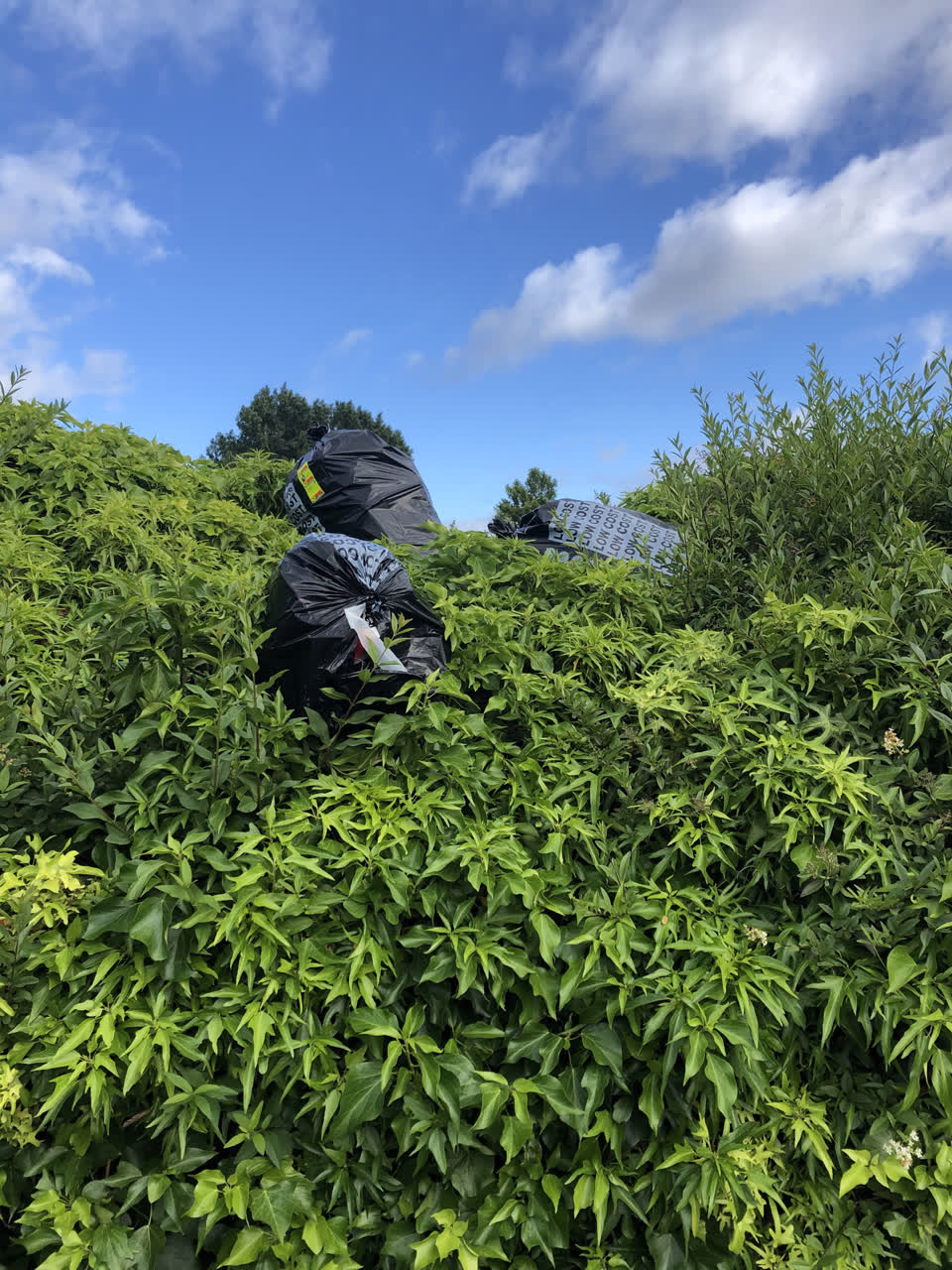 The photograph attached to this rubbish/recycling report