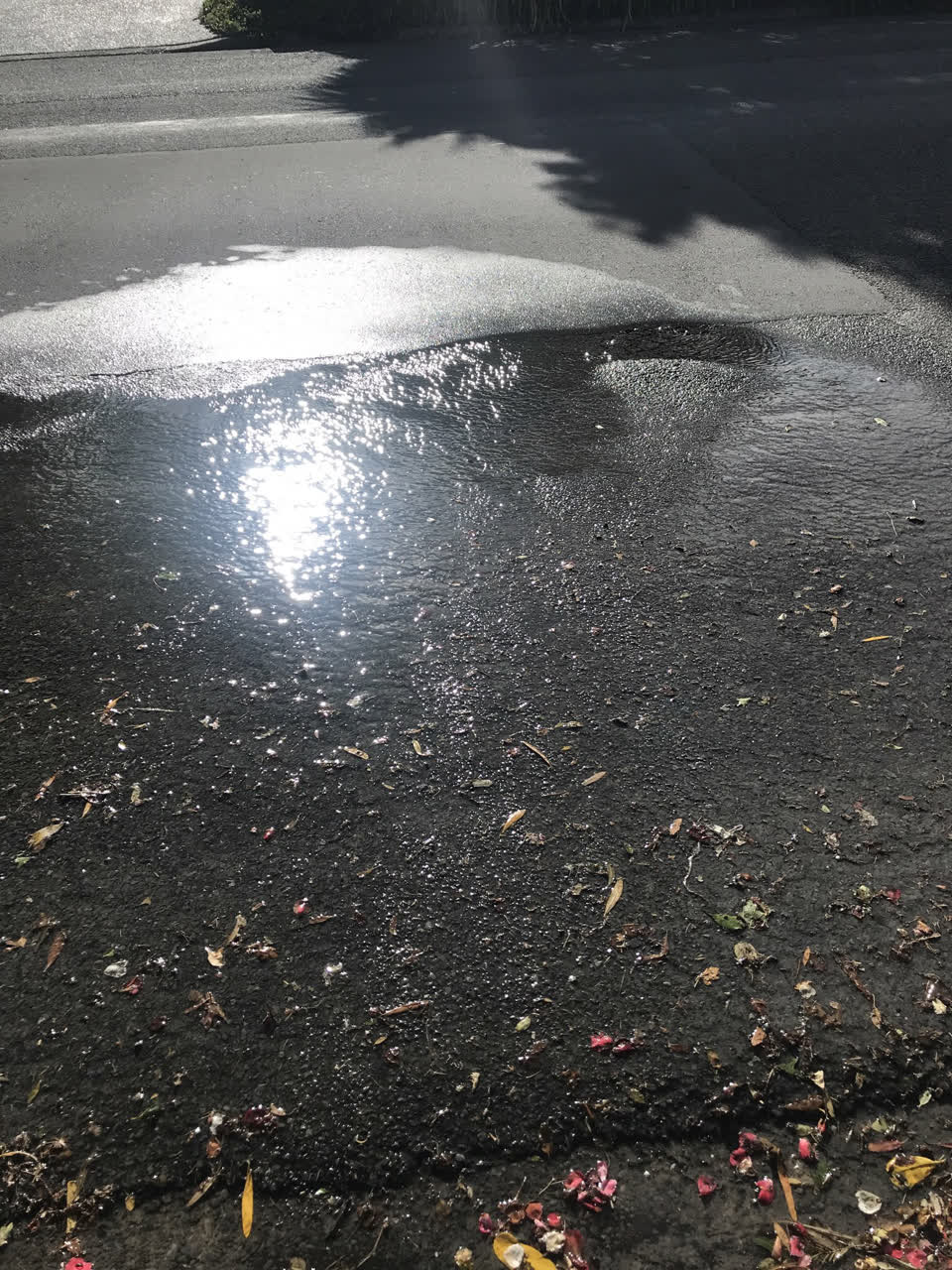 The photograph attached to this water leak report