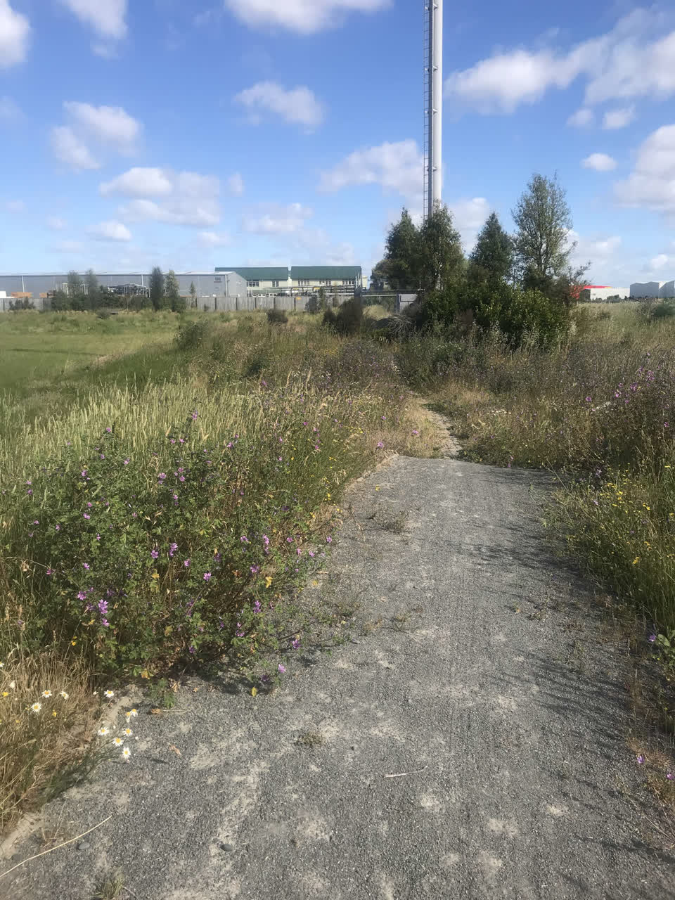 The photograph attached to this parks report