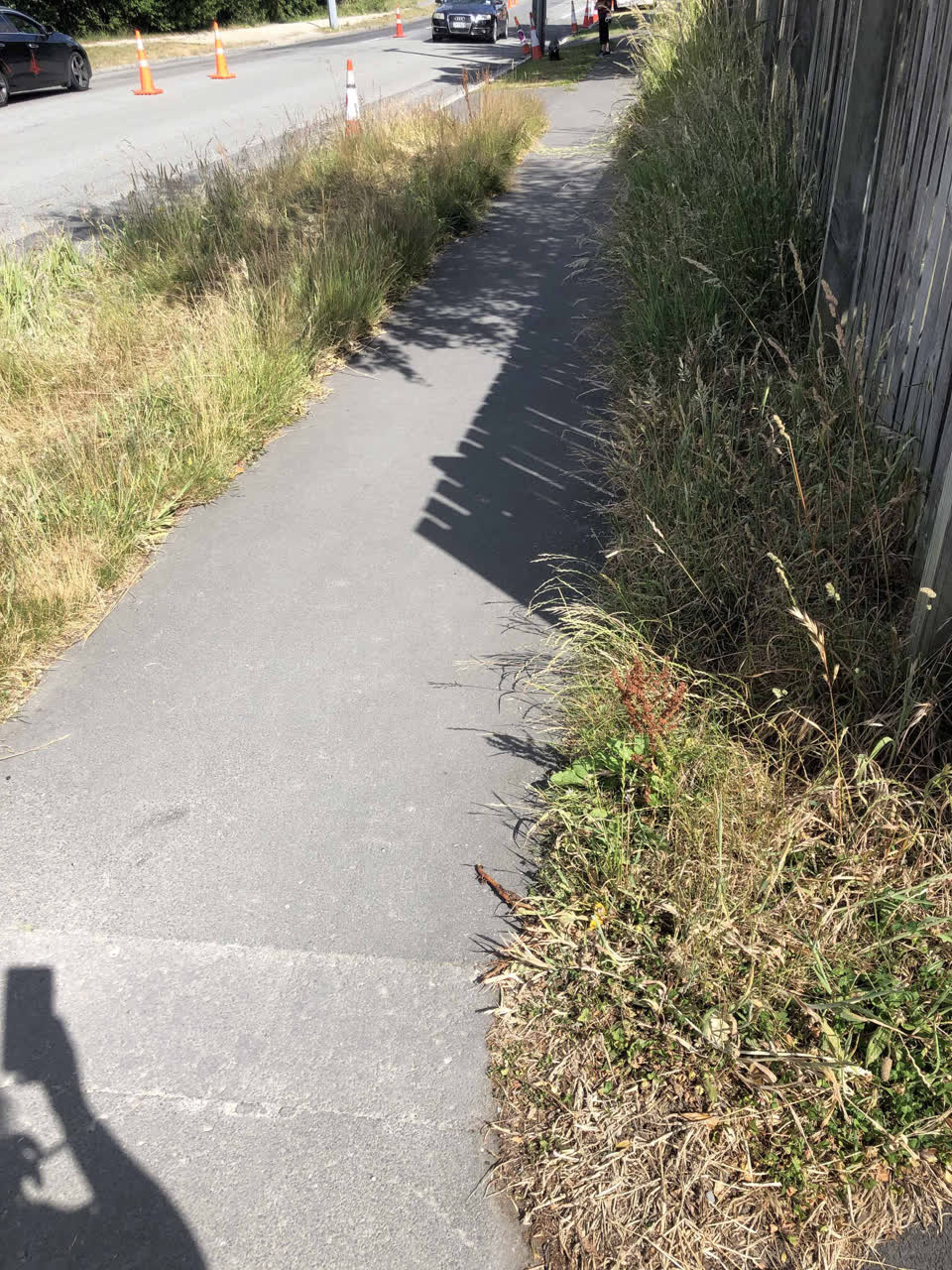 The photograph attached to this street light outage report
