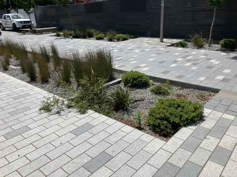Parks, a report photo