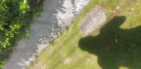 Water Leak, a report photo