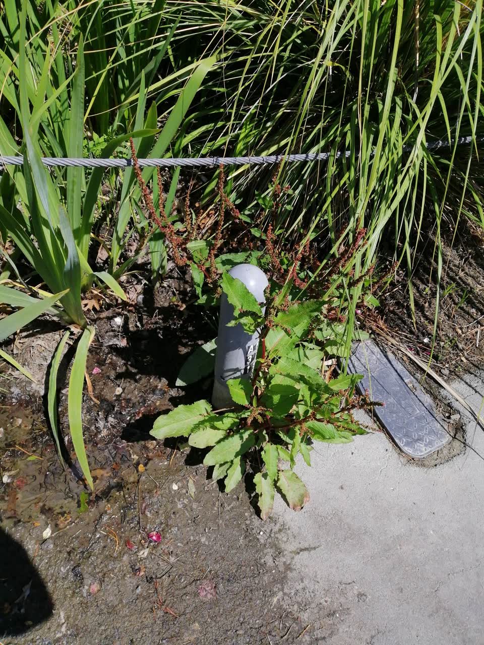 The photograph attached to this water leak report