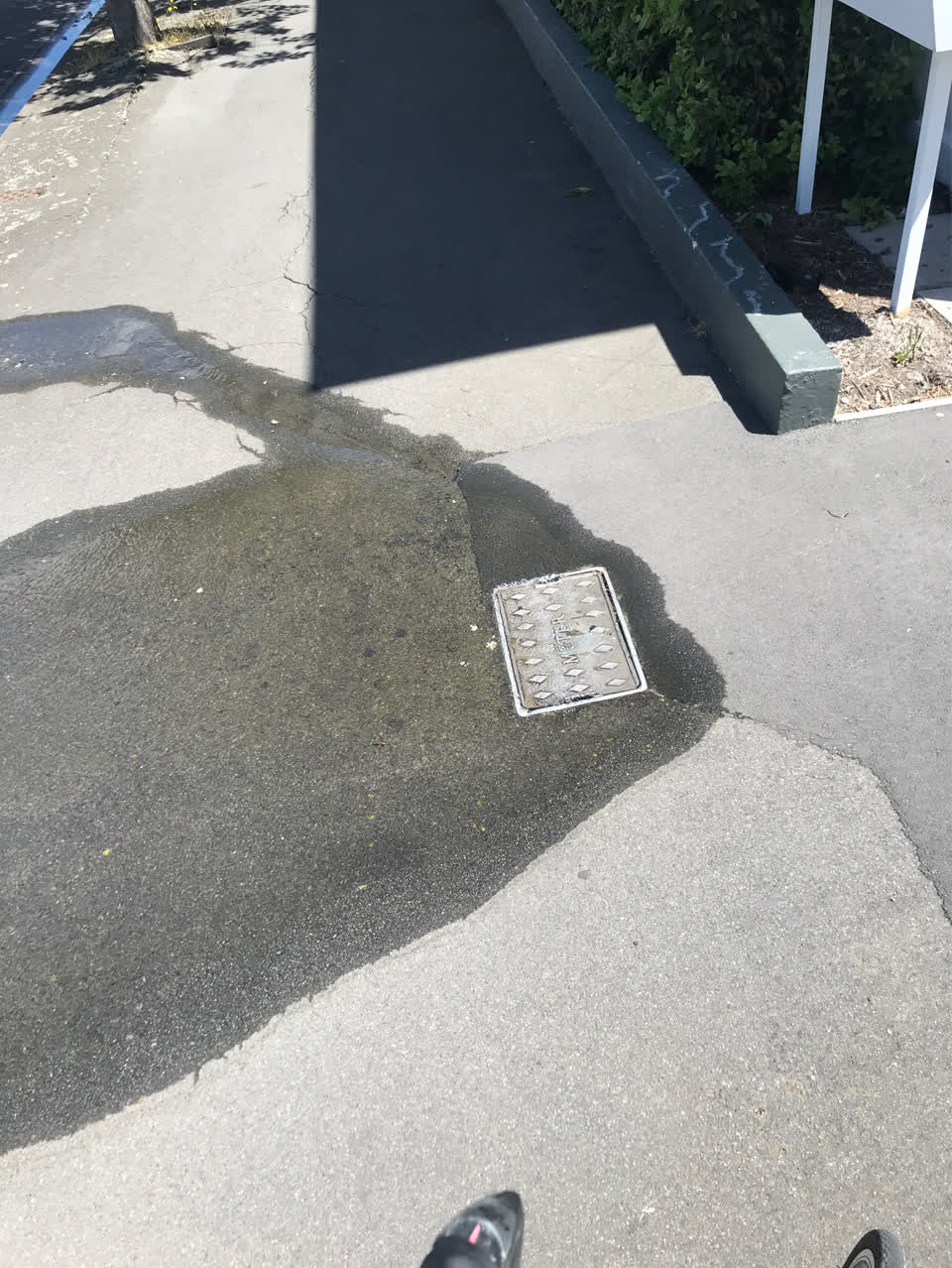 The photograph attached to this water leak report
