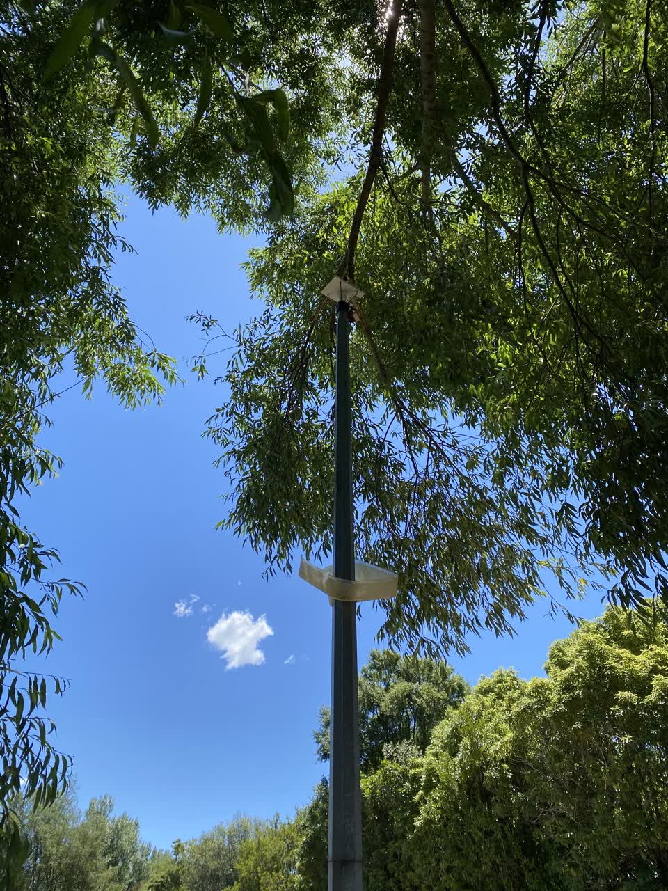 The photograph attached to this street light outage report