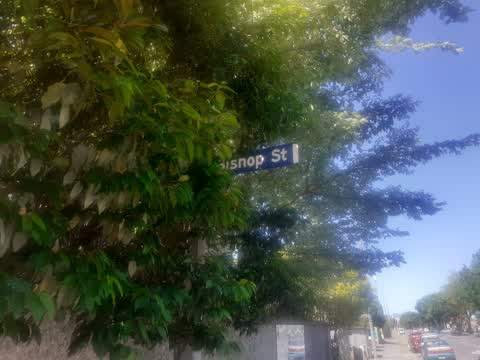 Roading/Streets, a report photo