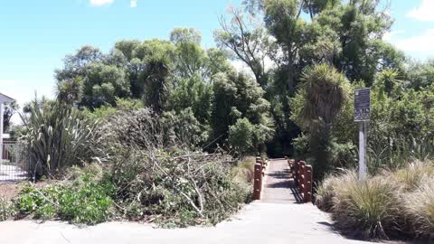 Parks, a report photo