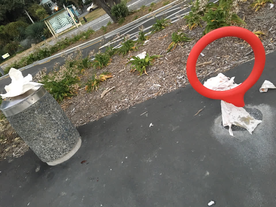 The photograph attached to this rubbish/recycling report