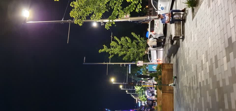 The photograph attached to this street light outage report