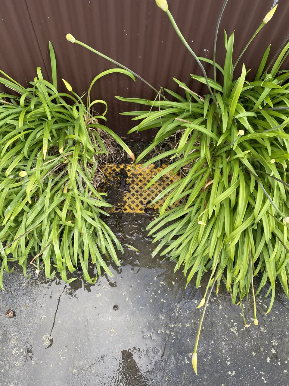 The photograph attached to this water leak report