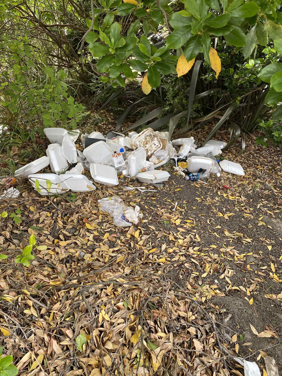 The photograph attached to this rubbish/recycling report
