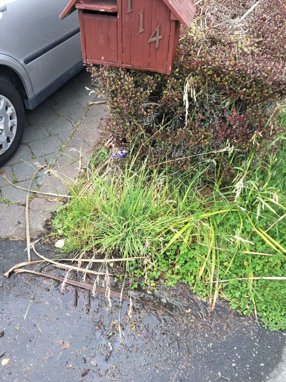 The photograph attached to this water leak report