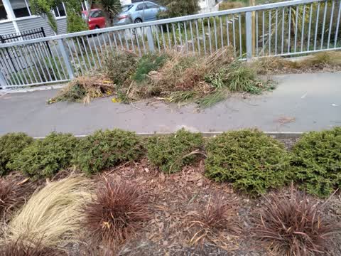 Parks, a report photo