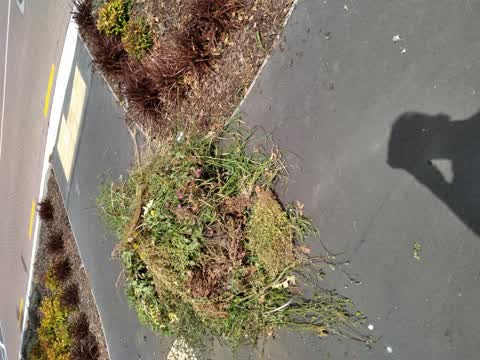 Parks, a report photo